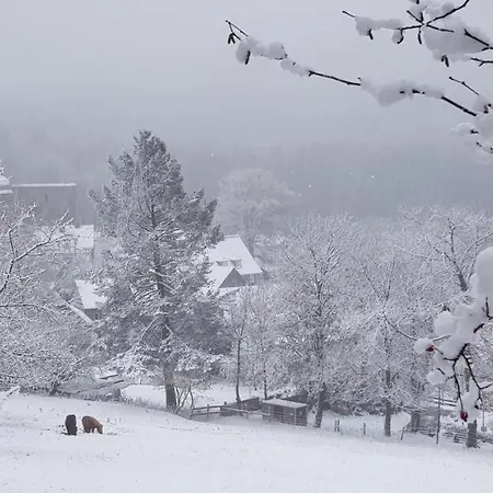 Nordenau Lägenhet *