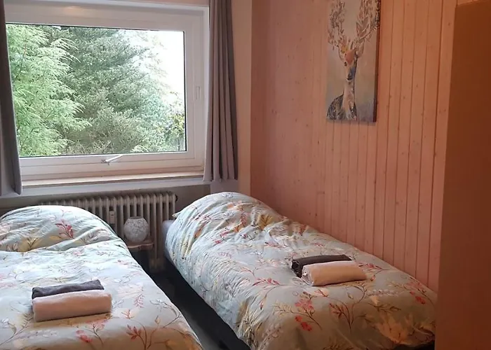 Nordenau Apartment *