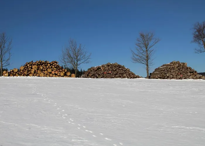 Apartment Nordenau *