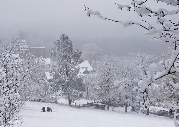 Nordenau Apartment *