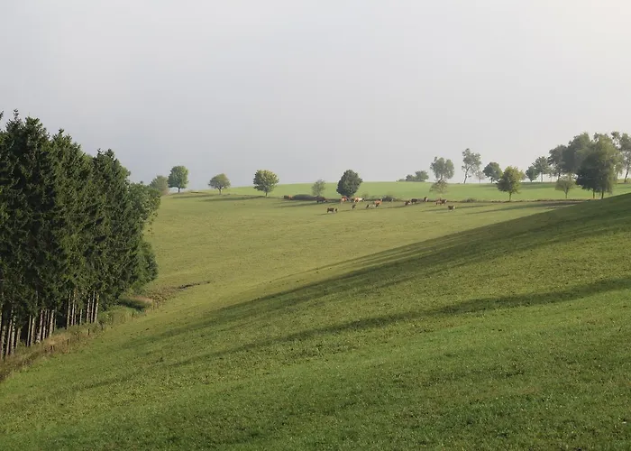 Apartment Nordenau Schmallenberg